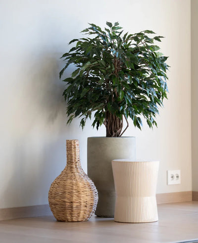 An Artificial Plant Ficus Liana 90 cm stands in a gray planter next to a woven vase and a slightly ribbed stool, all on a wooden floor against a plain white wall.