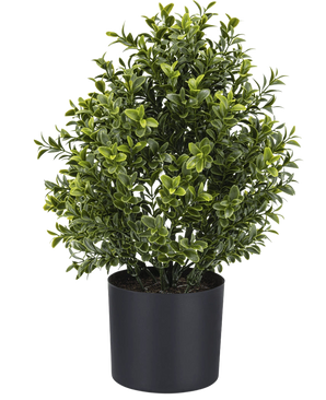 The Artificial Plant Boxwood Roman Style UV 36cm is a compact potted artificial plant with dense green foliage, displayed in a simple black round planter against a plain white background.