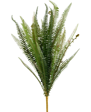 The Artificial Stitch Fern 64 cm is an upright green artificial fern with long, narrow, feathery leaves and a brown stem, against a plain white background.