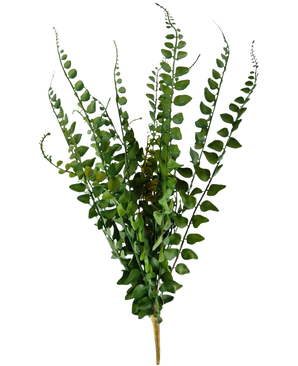 The Artificial Stitch Fern 48 cm has artificial fern branches with long, slender stems and finely detailed leaves, standing upright against a plain white background.