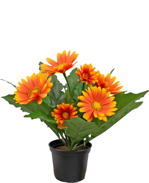 The Artificial Gerbera UV 28 cm orange plant has artificial orange and yellow daisy-like flowers with green leaves in a black pot, perfect to brighten up any space.