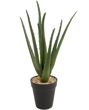 The Artificial Plant Aloe Vera 33 cm has long, wispy green leaves that grow upwards, in small stones in a sleek black pot, against a white background.