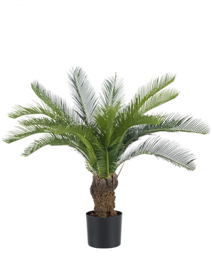 Artificial plant cycaspalm 80 cm