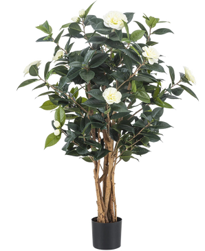 The Artificial Plant Camellia japonica 100 cm has several tall brown stems, dark green leaves and white artificial flowers against a plain white background.