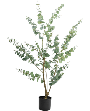 The Artificial Plant Eucalyptus 150 cm is a tall artificial eucalyptus in a pot with long, slender branches and round, silver-green leaves, against a plain white background.