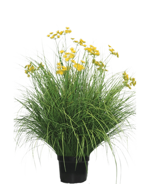 The Artificial Grass Plant Asteraceae 100 cm fire retardant has long, narrow leaves and bunches of bright yellow flowers on high stems. This maintenance-free plant looks beautiful in any interior against a white background.