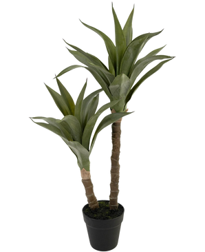 The Artificial Plant Agave 76 cm has two long, thick stems with pointed green leaves that resemble an agave, presented in a black plastic pot against a plain white background.