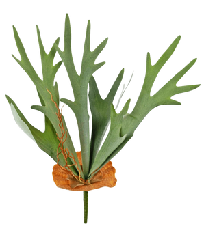The Artificial Plant Staghorn 53 cm has green, antler-shaped leaves and a brown, shield-like base, against a plain white background.