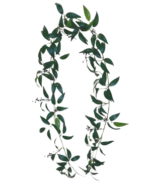 The Artificial Smilax Garland 180cm is a wreath in the shape of the letter O, made of long green leafy branches with small bunches of dark berries against a plain white background.