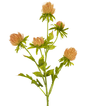A single Artificial Flower Thistle 66 cm peach stem with five round, light brown thistle-like flowers and green leaves, depicted on a plain white background.