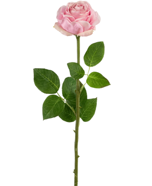 The Artificial Rose Real Touch 56 cm light pink is a single light pink artificial rose with a long green stem, multiple green leaves and visible thorns, depicted against a plain white background.