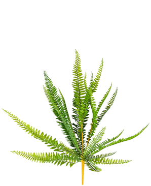 The Artificial Fern Plant 55 cm has vibrant green, long slender pointed leaves that protrude outwards, against a plain white background.