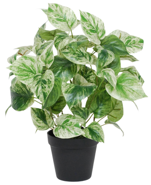 The Artificial Gold Vine green-white in pot UV 35 cm has heart-shaped green and white variegated leaves in a simple black pot, isolated against a white background.