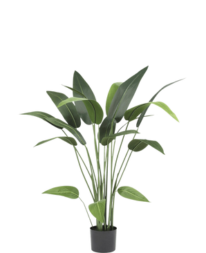 The Artificial Plant Heliconia 110 cm, with long stems and wide green leaves, is ideal for small spaces or as an artificial bathroom accent, beautiful against a plain white background.