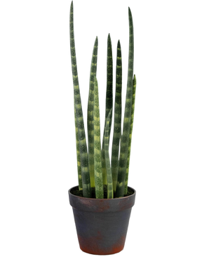 The Artificial Sansevieria Cylindrica 43 cm is a potted snake plant with tall, upright green leaves and subtle horizontal stripes, against a plain white background.