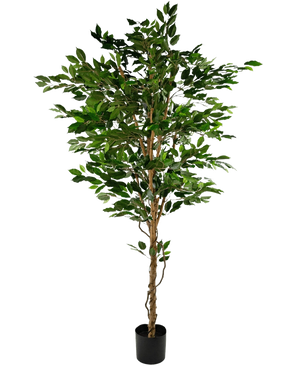 The Artificial Plant Ficus Green 210 cm is a tall artificial tree with green leaves and several slender brown trunks, in a compact black pot on a plain white background.