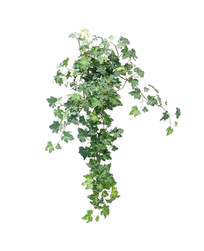 The Artificial Ivy Deluxe Green 60cm is a lush, artificial ivy plant with cascading green leaves against a plain white background.