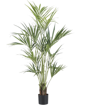The Artificial Plant Kentia Palm 180 cm has long, slender green leaves and several thin stems in a black pot, against a plain white background.
