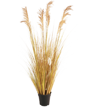 The Artificial Grass Plant Sorghum 130 cm fire retardant, with its slender yellow-green leaves and feathery brown plumes, emphasizes the latest living trend against a plain white background.