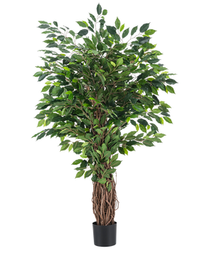 The Artificial Plant Ficus Tropical Liana 150 cm is a tall artificial tree with a braided trunk and dense green leaves, displayed in a small black pot against a plain white background.