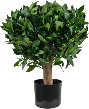 The Artificial Laurel UV d65 cm plant is a small artificial tree with a thick trunk and dense, glossy green leaves in a black plastic pot against a plain white background.