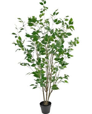 The Artificial Plant Ficus 150 cm is an artificial tree in a pot with multiple slender brown trunks and lush green leaves against a plain white background.