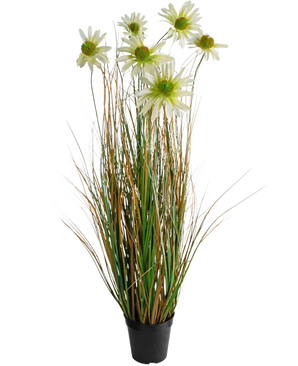 The Artificial Grass Chrysanthemum Onion Pot 90cm fire retardant is an artificial plant in a pot with long green and brown grass-like leaves, topped with white daisy flowers with a yellow heart.