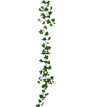 The Artificial hanging plant Ivy garland deluxe 180 cm green is a long, green ivy garland with pointed leaves that hangs vertically against a plain white background.