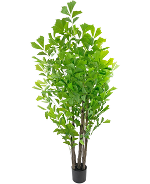 The Artificial Fishtail Palm 210 cm is a tall artificial plant in a pot with multiple brown stems and lush green leaves, presented in a small black pot against a white background.