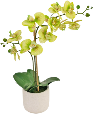 The Artificial Orchid Real Touch 60 cm green is an artificial orchid in a pot with light green and yellow flowers, several green buds on long stems and wide dark green leaves in a simple white pot.