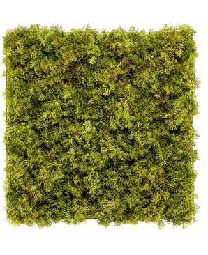 The Artificial Hedge Nordic Moss 50x50 cm UV is a square panel densely covered with lush green moss on a white background, creating a textured, natural look that is perfect for chic interiors.