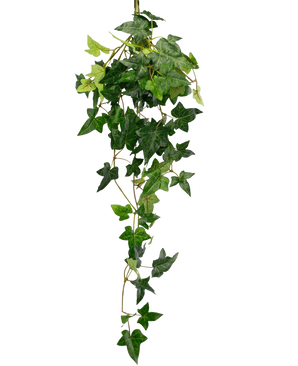 The Artificial hanging plant Ivy Boston 70 cm green has lush, green, star-shaped ivy leaves that fall down against a plain white background.