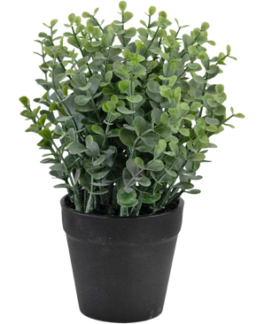 The Artificial Plant Pumila 23 cm is a small green potted plant with round leaves in a simple black pot, depicted against a white background.