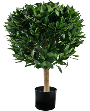 The Artificial Laurel UV d55 cm plant has a straight trunk and a dense, round cluster of glossy green leaves, presented in a black container against a white background.