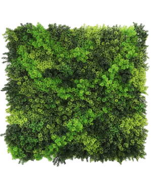 The Artificial Hedge Fairyland Moss 100x100 cm UV is a square panel with dense, vibrant green moss in various shades, providing a textured, natural look that is perfect against a white background.