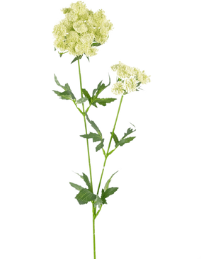 The Artificial Flower Lace Flower 76 cm white is a single artificial stem with bunches of small, light green-white flowers and serrated, deeply lobed green leaves, against a plain white background.