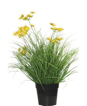 The Artificial Grass Plant Asteraceae 50 cm fire retardant has long, thin green leaves and small yellow flowers in a black pot, which provides a green appearance - perfect artificial grass in the home against a plain white background.
