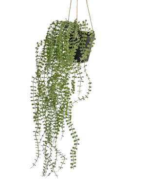 The Artificial hanging plant Pumila 81 cm in a pot has long, winding green tendrils with small round leaves in a black hanging pot, hung on beige ropes against a plain white background.