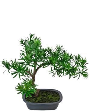 The Artificial Plant Bonsai Podocarpus 40 cm features dense green foliage in a shallow rectangular gray pot with moss, perfect for adding a natural style to any space.