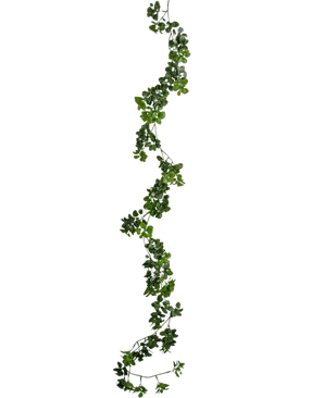 The artificial creeper plant Gardenia 157 cm has a single, long green vine with small leaves that hangs vertically against a plain white background.