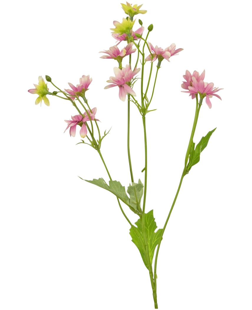 The Artificial Flower Madelief 55 cm pink is an artificial flower with a single green stem with several branches, each decorated with delicate pink and white daisy-like flowers and serrated green leaves, depicted against a white background.