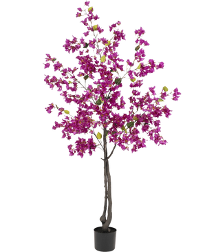 The Artificial Bougainvillea 180 cm Purple has dark branches, vibrant purple flowers and green leaves in a black pot - perfect as a colorful artificial plant for your living room.