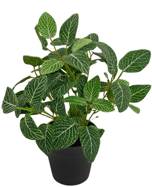 The Artificial Plant Fittonia Green-white in Pot 25cm has lush green leaves with striking white veins, presented in a simple black pot and photographed against a plain white background.