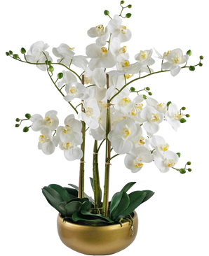 The Artificial Orchid Real Touch 50 cm white has lifelike white orchids with yellow hearts and green buds, all arranged with green leaves in a stylish gold pot.