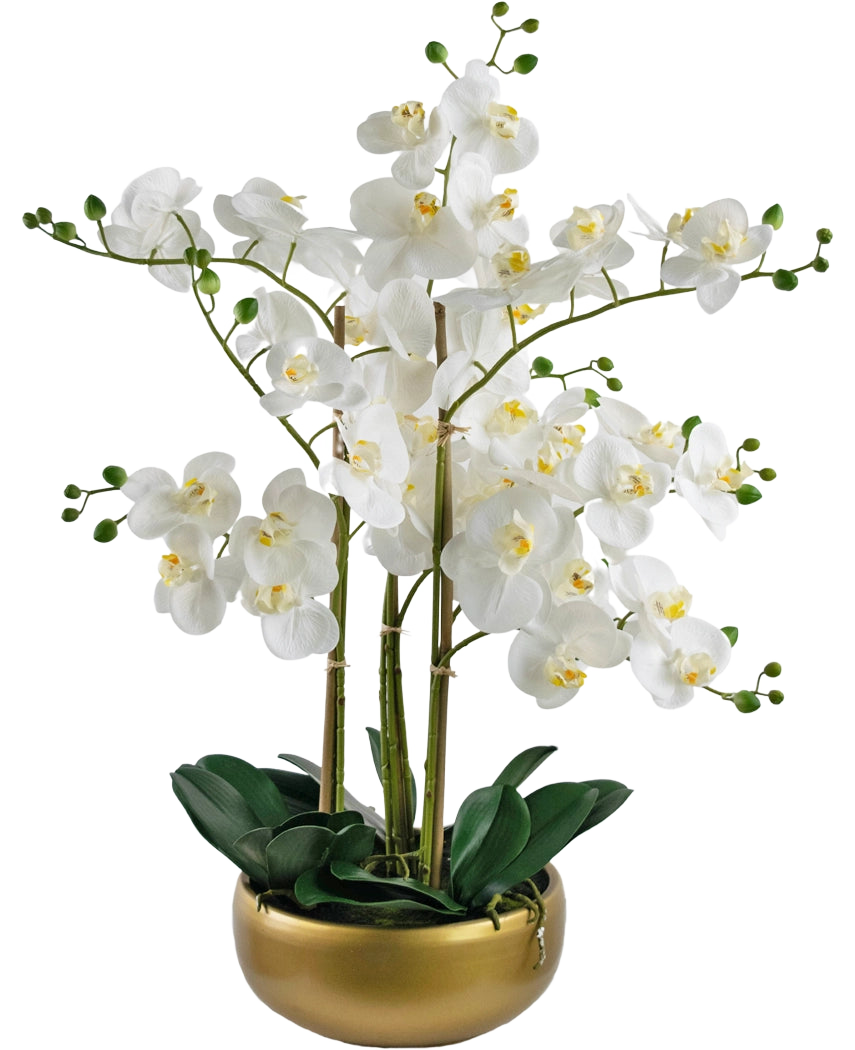 The Artificial Orchid Real Touch 50 cm white has lifelike white orchids with yellow hearts and green buds, all arranged with green leaves in a stylish gold pot.