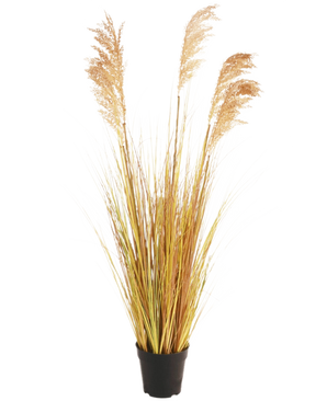 The Artificial Grass Plant Sorghum 110 cm fire retardant has long, yellow-green leaves and feathery brown plumes in a black pot - ideal to give your Boho interior a stylish flair against a plain white background.