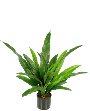 The Artificial Plant Bird's Deluxe 60 cm is a green potted houseplant with long, narrow, pointed leaves in a black pot against a plain white background.