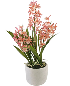 The Artificial Cymbidium 58 cm pink plant has tall green leaves and clusters of pink and white orchid flowers, arranged in a simple white ceramic pot, perfect to brighten up any space.