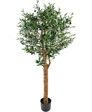 The Artificial olive tree UV 155 cm is an Easyplants artificial plant in a pot with a high brown trunk, dense green leaves and small black olives, elegant against a plain white background.