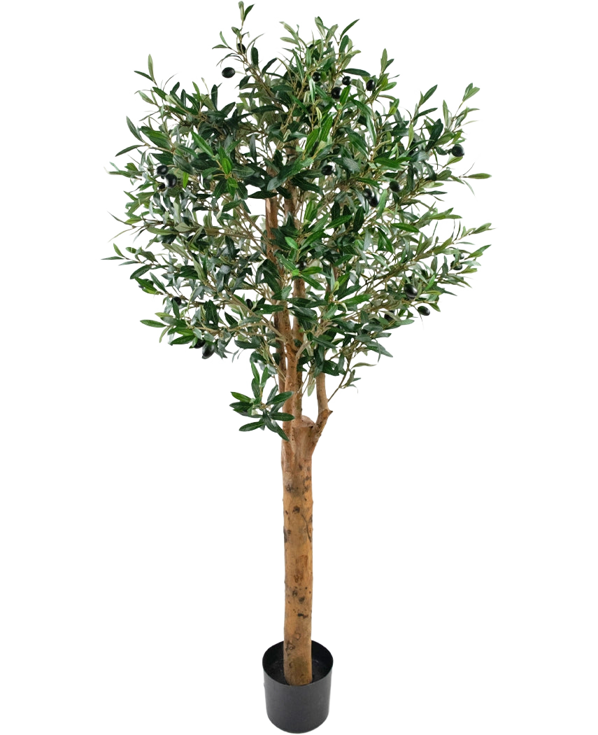 The Artificial olive tree UV 155 cm is an Easyplants artificial plant in a pot with a high brown trunk, dense green leaves and small black olives, elegant against a plain white background.